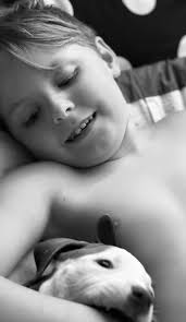 Let's see your sun bathing babies 🥰 We normally would let her outside  since it's so nice, but she is still recovering from TPLO surgery for torn  ACL.