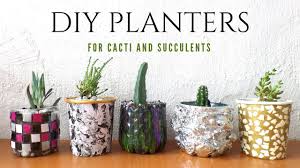 Use the fertilizer manufacturer's instructions to determine how the potting mix should be one that is designated for cacti because cactus plants need a potting mix that drains well. Five Planter Plant Pot Ideas Using Recycled Materials Planters For Cacti And Succulents Youtube