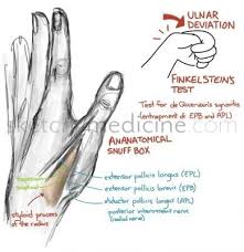 Pin On Medicine Anatomical snuff box and fovea radialis. pin on medicine