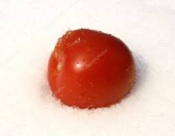 Červené rajče na sněhu — Stock Fotografie © Kingan77 22358653