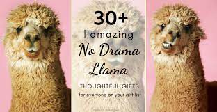 Happier than a camel on wednesday. Best Gift Idea No Drama Llama Gifts For People Who Hate Dramas