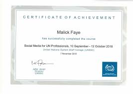 Social Media For Un Professionals
