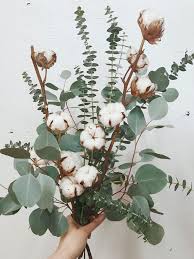 Bouquet D Eucalyptus Et Fleurs De Coton Il Etait Une Fleur In 2020 Dried Flower Bouquet Dried Flower Arrangements Flower Vase Arrangements