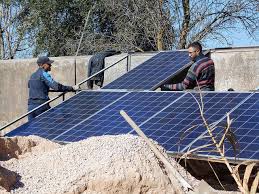 At harrow, researchers have demonstrated that irrigation not only increases peach yields and improves fruit size, but lengthens peach tree life as well. Reports On Irrigation Systems For Fruit Tree Agriculture Globalgiving