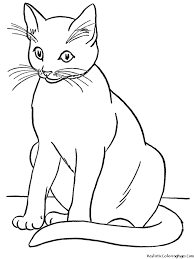 Some of the coloring pages shown here are pin by laura chipman on coloring animal coloring click on the coloring page to open in a new window and print. Realistic Cat Coloring Pages Timeless Miracle Com