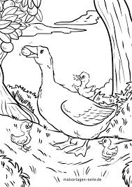 Goose coloring page to color, print or download. Coloring Page Goose Geese Birds Free Coloring Pages