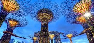 5 Fantastic Reasons To Study In Singapore Top Universities