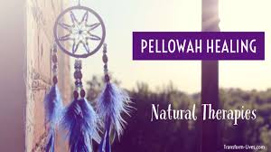 Jan 12, 2021 · synopsis : How To Unlock Your Health With Pellowah Transform Lives