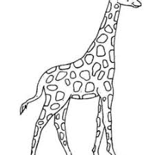 O órgão possui duas cavidades. Desenhos De Girafas Para Imprimir E Colorir