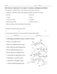 This is the currently selected item. Dna Structure Lesson Plans Worksheets Lesson Planet