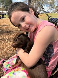 Brookhaven Cherry Blossom Festival Family Fun Atlanta