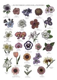 Pin On Flower Meanings