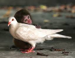 Image result for funny pics -- love is beyond