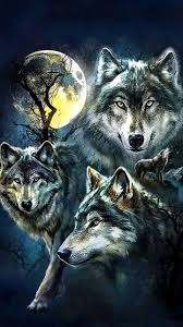 Wolf wallpapers, backgrounds, images 1920x1080— best wolf desktop wallpaper sort wallpapers by: Wolves Wallpapers Iphone 4 Wolf Wallpapers Pro