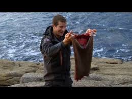 Edward michael bear grylls obe (born 7 june 1974) is a british adventurer, writer, television presenter and businessman. Man Vs Wild Seal Skin Wetsuit Youtube