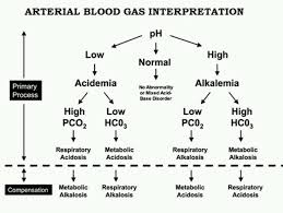 How To Interpret Blood Gas Results Faculty Of Medicine