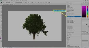 But, barren trees are beautiful in their own way, and you can bring that beauty into your work now with this new hand drawn dead tree brushes pack! How To Make Trees In Photoshop