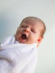 Boston — blog — Cydney Scott Photography