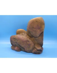 Image result for Exotheca