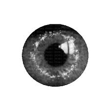 Discover & share this anime gif with everyone you know. Eye Eyes Black Animation Gif Jitter Bug Girl Eye Eyes Deco Decoration Animation Gif Black Jitterbuggirl Picmix