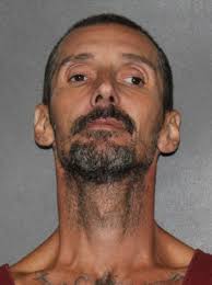 Michael Wayne Vinson