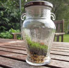 In a beautiful example of a closed but functional ecosystem, david latimer has grown a garden sealed inside of a giant glass bottle that he has only opened once since he started it almost 54 years ago. How To Create A Terrarium Or Vivarium Or Self Contained Bottle Garden Reeko S Mad Scientist Lab