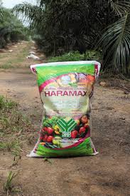 Ukuran lubang tanam tanaman kelapa sawit yaitu 50 x 40 x 40 cm atau kedalaman lubang tanam disesuaikan dengan tinggi dari polybag atau media tanam. Mikroba Unggul Meningkatkan Kualitas Pupuk Majalah Sawit Indonesia