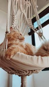 Hamaca Macrame Video Em 2020 Ideias Criativas Gatos Macrame