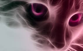.kawaii pink cat png images background, png png file easily with one click free hd png images, png design and transparent background with high quality. Pink Cat Wallpaper By Smillinkillah On Deviantart