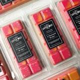Wax Melt Snap Bars – The Little Melt Company