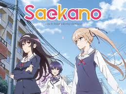 How to raise a boring girlfriend is a 2012 light novel series that became popular for its concept. Watch Saekano How To Raise A Boring Girlfriend Flat Prime Video