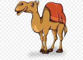 Sand dunes and desert on background under orange sky with sun Camel Animation Clip Art Png 600x594px Camel Animation Arabian Camel Beak Camel Like Mammal Download Free