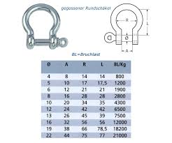 Stainless Steel Bow Shackle M 4 M5 M6 M8 M10 Tensile D Shape