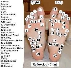 nerve endings in the bottom of our feet health