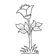 Some of the colouring page names are wild grass flower coloring netart, big flowers drawing at getdrawings, store kansas native plant society click on the colouring page to open in a new window and print. Grass Coloring Stock Illustrations 8 239 Grass Coloring Stock Illustrations Vectors Clipart Dreamstime