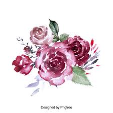 Beautiful Hand Paint Watercolor Rose Flower Flower Flowers Beautiful Flower Png Transparent Clipart Image And Psd File For Free Download Watercolor Flower Background Watercolor Rose Flower Painting