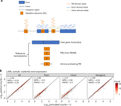 Regular smears in women detect precancerous changes in the cervix at an early stage when treatment is simple and effective. Transposable Element Expression In Tumors Is Associated With Immune Infiltration And Increased Antigenicity Nature Communications