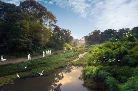 Clementi forest is singapore's second largest forest that looks like it came straight out of a fairy tale. 2 New Nature Trails To Run Through Clementi Forest First One To Be Ready By 2023 Environment News Top Stories The Straits Times