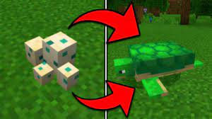 Make it so using bone meal on a turtle egg will make it hatch faster. How To Hatch A Turtle Egg In Minecraft Pocket Edition 1 5 Youtube