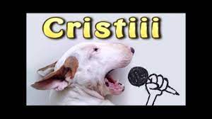 Astazi in sa am decis sa il sustin pe cristi4seby la cp si va dau numai 3 motive pentru care am decis asta. Maneaua Lu Cristi Youtube