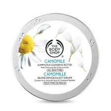 What To Buy The Body Shop The Body Shop Cleanser And Toner Body Shop At Home