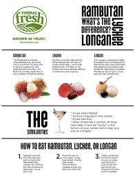 The Difference Between Lychee Longan Rambutan Fruits Thomas Fresh Longan Lychee Lychee Fruit
