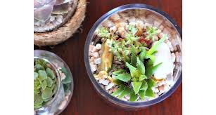 кто написал книгу по кулинарии сладкие подарки своими руками 12 Idej Podarkov Svoimi Rukami K 8 Marta Spravyatsya Deti I Papy Recepty Domashego Myla Podarki Svoimi Rukami Podarki