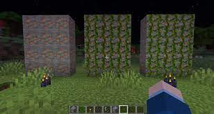 In the previous update, the nether update, mojang added netherite which could be made by mining minecraft's new ancient debris. You Can Put The New Copper Ore Together With Vines To Create Flowered Vines Minecraft