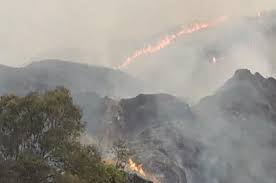 Kabupaten kuningan memiliki 32 kecamatan, 15 kelurahan, dan 361 desa. Lahan Dan Hutan Di Gunung Ciremai Terbakar Bagaimana Kondisinya National Geographic