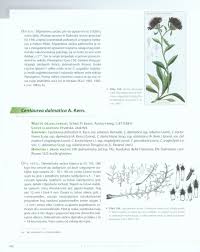 Слыхали ли вы endemi — s ( n, er) med sjukdomstyp begränsad till visst geografiskt område … Endemi U Hrvatskoj Flori Endemic Species Of The Croatian Flora Nhbs Academic Professional Books