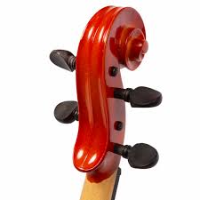 Image result for Viola eminii