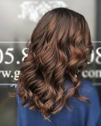 28 most chic dark hair ideas to try. 39 Sweetest Caramel Highlights On Light Dark Brown Hair