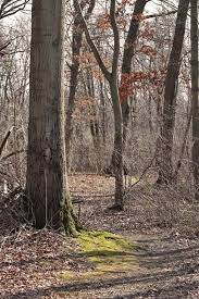 Home is a 3 bed, 2.0 bath property. Meroke Preserve Bellmore Ny Patch