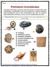 Where can a barnacle form? Invertebrate Facts Worksheets Types Specie Information For Kids